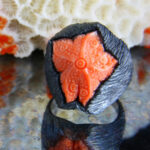 Mercan Denizyıldızı Yüzük - Görsel 2