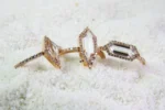 Beyaz topaz ve pırlantalı minimalist yüzük - Image 4