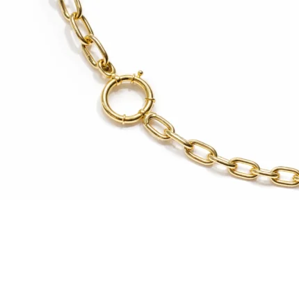 Oval Zincir Kolye – Halka Kilit Detaylı Modern Tasarım